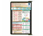 WhiteCoat Clipboard® - Army Green Nursing Edition
